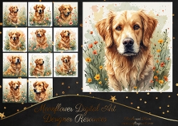 Golden retrivers