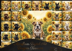 Sunflower pups 5