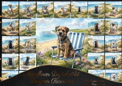 Beach chair 4