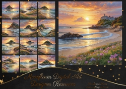 Lovely beach scenes