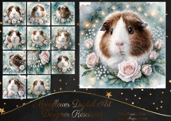 Guinea pig 