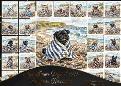 Cozie coastal 4