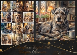 Beautiful senior dogs