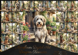 Door step dogs 1