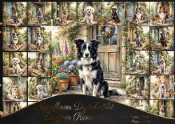 Door step dogs 2