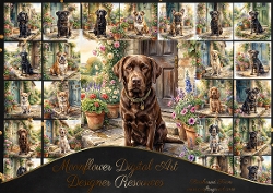 Door step dogs 5
