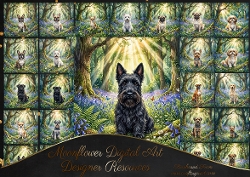 Bluebell woods 4