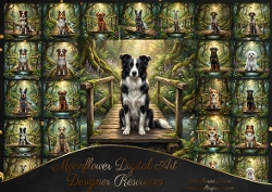 Enchanted forest 2