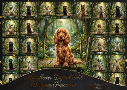 Enchanted  forest 5