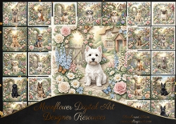 Cottage rose garden 4