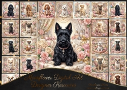 Petals & Paws 5