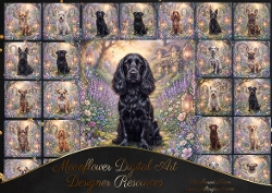 Enchanted cottage garden 5