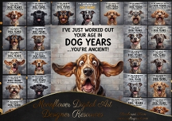 Your how old !!!!! 3