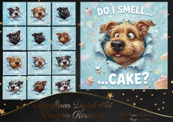 Smell cake dogs