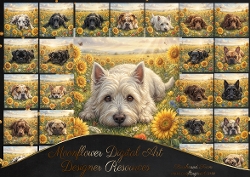 Sunflower meadow 5