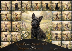 Wildflower Pup 4