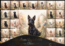 Petals & Paws 5