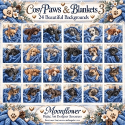 Cozy paws & blankets 3