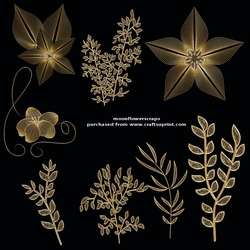 Golden flora mix