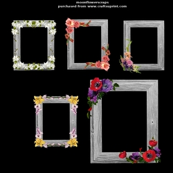 Floral frames