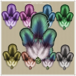 Feather accents 1