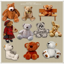 Cute bears 3