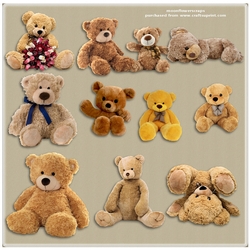 Bears 6