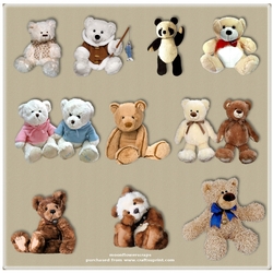 Bears 8
