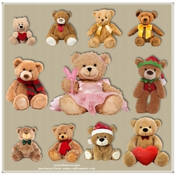 Bears 10
