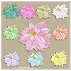 Pretty flowers