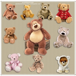 Bears 13