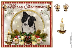 Merry Christmas Border Collie