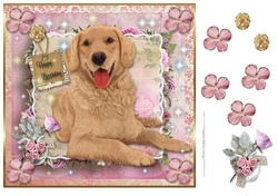 Happy Birthday  Golden Retriever