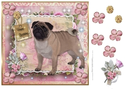 Happy Birthday Pug