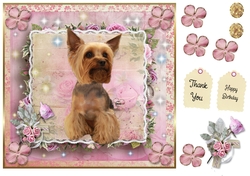 Happy Birthday Yorkshire Terrier 