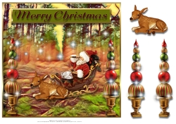 Forest Santa