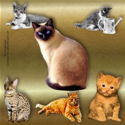Cat mix