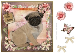 Happy Birthday Pug