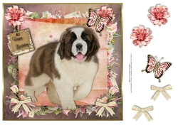 Happy Birthday St Bernard