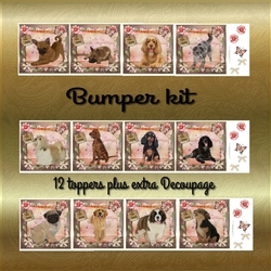 Happy Birthday Bumper dog A4 toppers