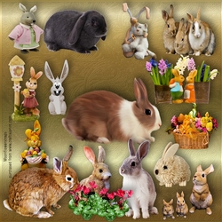 Rabbit mix