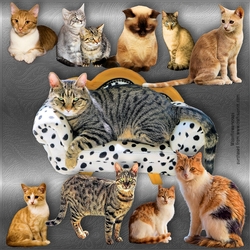 Cat mix 1