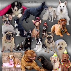 Dogs bundle