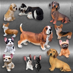 Designer stash dog mix 1