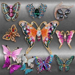 Beautiful Jewel butterflies
