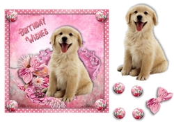 7x7 Birthday puppy