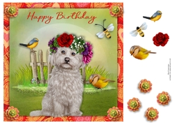 8x8 Summer Garden Birthday