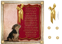 8x8 Pet loss Cross breed pup