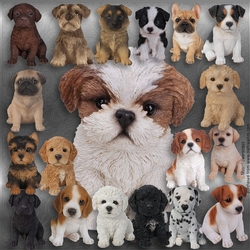 Puppy Mix