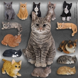 Cats and Kittens 